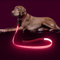 Colaseeme LED-Hundeleine, 1,2 m, Wiederaufladbar über Micro-USB, Nylongewebe, Leuchtende Sicherheitsstandard für Hunde, Rosa 4FT