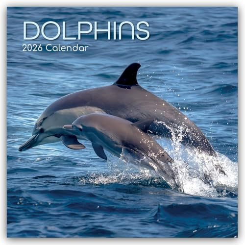 Dolphins – Delfine – Delphine 2026 – 16-Monatskalender: Original The Gifted Stationery Co. Ltd [Mehrsprachig] [Kalender] (Wall-Kalender)