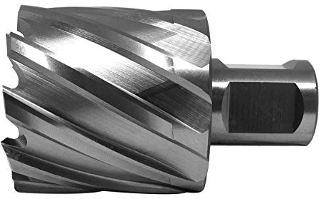 PAULIMOT HSS-Kernbohrer mit Bohrtiefe 30 mm, Ø 45 mm