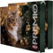 TRIXIE Adventskalender Premio für Katzen mit diversen Leckereien 2x