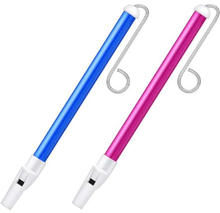 WeddHuis 2 Unidades Silbato Deslizante, Instrumento Musical de Plástico con Varillas de Acero Inoxidable, Juguete Educativo para Niños y Niñas, Flauta de Émbolo Profesional para Principiantes