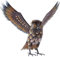 Yaoliucp Owl Statue, Realistic Owl Sculptures Metal Yard Art Standing Metal Bird for Home, Garden, Patio, Backyard, Porch Lawn Ornament Decoration
