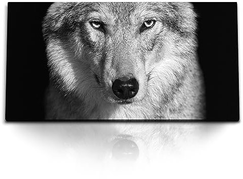 Paul Sinus Kunstdruck Bilder 120x60cm Wolf Porträt Tierfotografie Schwarz Weiß schwarzer Hintergrund
