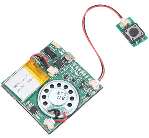 Rordigo Musikaufnahmemodul, USB, Soundmodul, MP3, DIY, Soundmodul, herunterladbar, USB, Taste