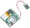 Rordigo Musikaufnahmemodul, USB, Soundmodul, MP3, DIY, Soundmodul, herunterladbar, USB, Taste
