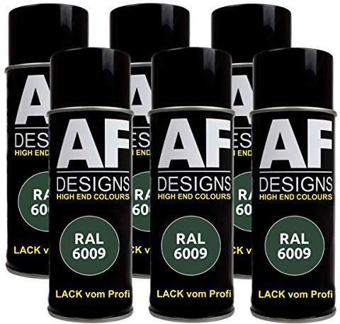6 X RAL vernice spray per auto vernice colorata vernice spray RAL 6009 verde abete satinato