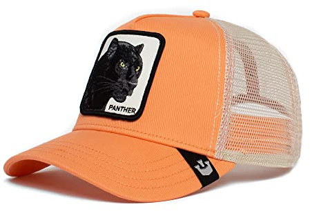 Goorin Bros. Unisex-Erwachsene Classic Baseballkappe, Coral Panther, Einheitsgröße