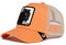 Goorin Bros. Unisex-Erwachsene Classic Baseballkappe, Coral Panther, Einheitsgröße