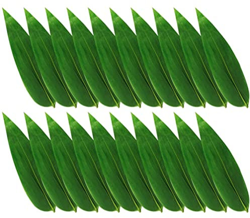 UPKOCH Leaf Cheese Paper Sushi Leaves for Charcuterie Boards Cheeseboard Accessories Disposable Grease Resistant Decorative Parchment Sheets in Serving Tray Crackers Fruits Sushi Meat Platter