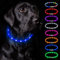 Nepfaivy Leuchthalsband Hund USB Aufladbar - Wasserdichtes Hundehalsband Leuchtend mit Verstellbarer Länge, LED Halsband für Hunde mit 3 Beleuchtungsmodi für Sicherheit, Blau