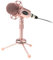 Gadpiparty Stand Kit Soundproof Mic Mic Arm Compact Desktop Microphone for Streaming Live Voice Chat