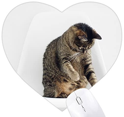 animal drôle action cat tire Jeux de tapis de souris en forme de coeur