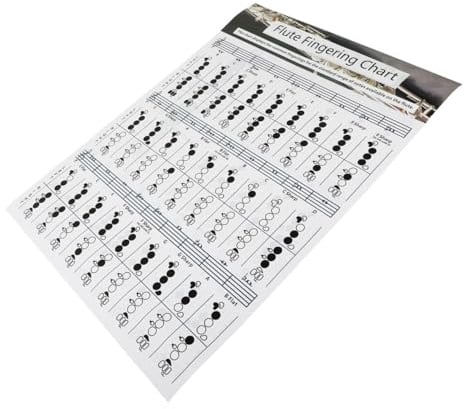 Flötenakkord Lernleitfaden als Flötendiagramm für Anfänger | Beschichtetes Papier, Referenzposter und Tabelle, Übungshilfe mit Klarer Griffweise