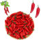 Hezhou 60 Stück Künstliche Lebensechte Mini Pfeffer Chili Obst Kunstobst künstliche Chili Gemüse Dekoration für Zuhause,Küche,Garten,Innendekoration,realistische gefälschte Gemüsedekoration (Rot)
