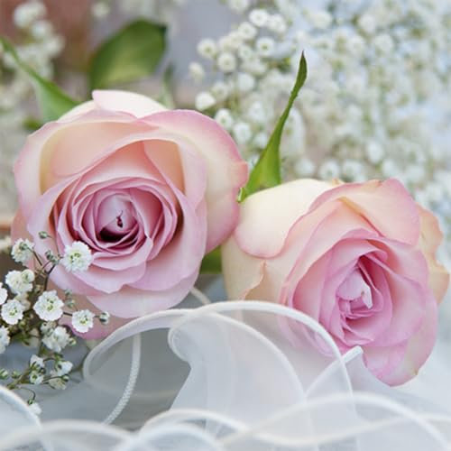 Servietten Papier 33x33cm 3-lagig 20 Stück Hochzeit (Rose Weiß)