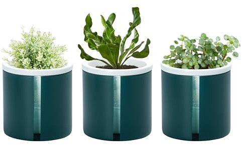 D'vine Dev 376-A-3 Lot de 3 pots de fleurs en terre cuite blanche avec tasse cylindrique en verre bleu sarcelle de 10,2 cm