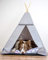 Halkalife Tipi für Katzen und Hunde mit Bommeln. Wasserdichtes Haustierzelt mit Rutschfester Basis. Hunde- und Katzenhaus. (Rosa Punkte, 65x65x94cm, Graues Zelt)