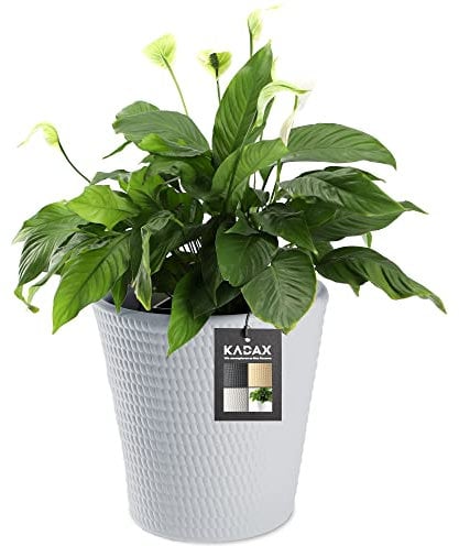 KADAX Blumentopf, Blumenkübel aus Kunststoff in 3 Farben, Pflanzkübel, witterungsbeständiger Blumenkübel mit Mattoberfläche, Outdoor-Pflanzkübel (Grau ø 30cm)