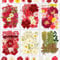 Resiners 174 Stück Rot Getrocknete Blumen Natürliche Gepresste Getrocknete Blumen Blätter für Harz Schmuck Machen, DIY Kerzen, Anhänger, Handyhüllen, Fotorahmen, Bath Bombs, Scrapbook