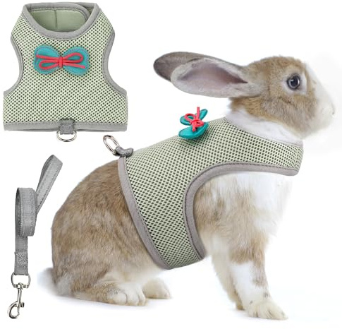 AIITLE Ensemble harnais et laisse pour lapin avec nœud mignon, harnais réglable anti-fugue pour lapins, chatons, furets, chiots et petits animaux de compagnie, pour promenade, randonnée, camping,