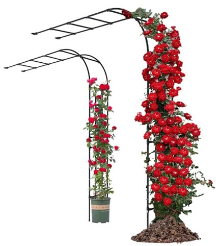 Arche Rosier Exterieur Pergola Jardin Métal Support Plante Grimpante Tonnelle Demi-latérale Treillis 60x240cm 200x240cm 270x240cm Facile À Assembler Décoration Entrée(W:220cm*H:240cm)