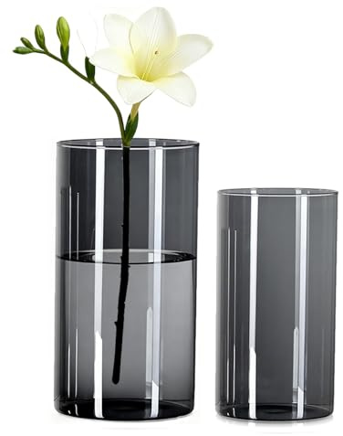 Wintfarm Vase,2 Set Grau Acryl Zylindervase,Klare Langlebige Unzerbrechliche Vasen,Vase Kunststoff für Blumenarrangements, Tischdeko,Hochzeits-Mittelstücke, Heimwerken (20x10 und 25x12cm)