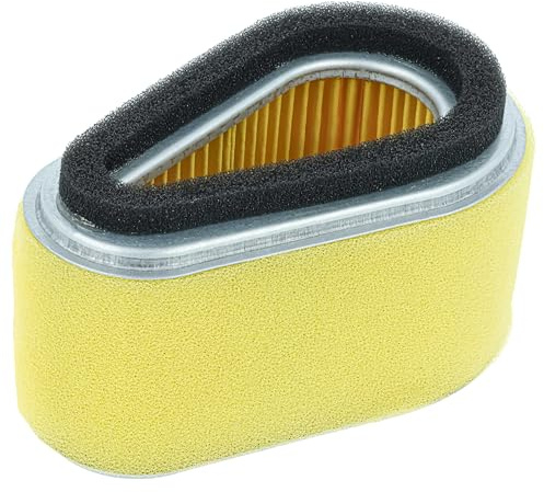 vhbw Filter (1x Vorfilter, 1x Luftfilter) kompatibel mit Gutbrod MH 454 RV | MH 532 RV, MH 534 RVE, MH 534 RV Rasenmäher - 10,2 x 6,5 x 5,2 cm
