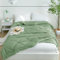 CozyLux Sommerdecke 240x260, Bettdecke 260x240 Sommer, Steppdecke 150gsm Mikrofaser, Grosse Decke 260x240cm, Sommerbettdecke 240 x 260, Leicht, Dünn, Weiche, Atmungsaktive, Zudecke 240x260cm Grün