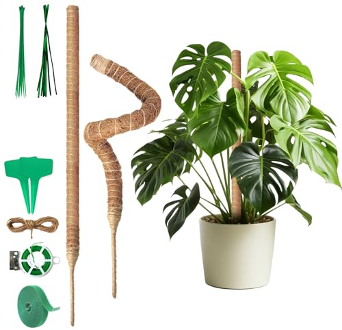 2 x 60 cm Monstera Rankhilfe -Flexible Moosstab | ideal für gesundes Wachstum aller Kletterpflanzen im Wohnbereich