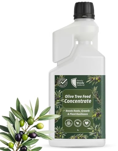 Olive Tree Feed Concentrate 1L Seaweed Extract Fertiliser, Liquid Plant Food for Strong Roots Growth and Resilience, Supports Drought Heat and Transplant Stress Indoor Outdoor Use