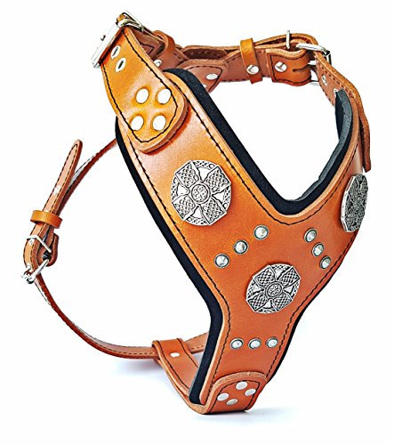 Bestia |Maximus| Leder Brustgeschirr für große Hunde. Bis 145 cm Brustumfang. 100% Leder. Handgefertigt. Top Qualität