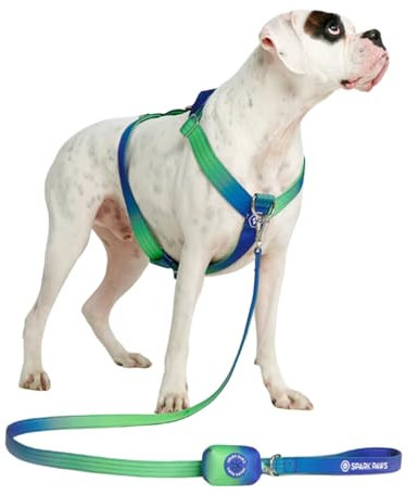 Spark Paws No Pull Hundegeschirr Grosse Hunde, Halterdesign mit Frontclip, Y Geschirr Hund, Robust und Strapazierfähig Harness für Große und Starke Rassen - Lime Wave, M