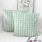 OYIMUA Salbei Grün Kissenbezug 45x45 2er Set Flauschig Kuschelkissen Plüsch Kissenbezüge Dekokissen Weich Pelz Kissenhülle Luxus Sofakissen Quadratisch Deko Kissen