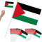 20 Stück Palästina Flagge Klein, 14×21 cm Palestine Flag Small, Palästinensische Handheld Mini-Flagge mit Stange, Vivid Color Waving Flags for Indoor Outdoor Decoration