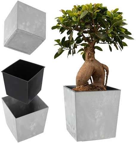 KADAX Vaso da fiori in plastica, resistente alle intemperie, per balcone, terrazza, interno, vaso leggero con intarsio, vaso per piante, fioriera (grigio cemento, altezza: 25,7 cm), K9937
