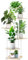 YOCOMEY 6-Tier Hölzern Blumenregal Pflanzenregal, Mehrstöckig Blumenständer Pflanzenständer Blumenbank Blumentreppe Pflanzentreppe Standregal für Innen Garten Balkon Deko(Weiß Eiche)