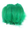 100 Stück Bunte Feder zum Basteln Naturfedern Gänsefedern Indianer Bastelfedern für DIY Kunstwerk Masken Hüte Ohrringe Haarschmucken Traumfänger Hochzeit Karneval Party Dekoration,12-18cm Grün