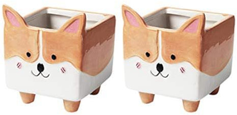 biyan Animal - Cache-Pot Succulent en Céramique, Pot avec Cactus et Plante, Pot en Céramique pour Fleurs.