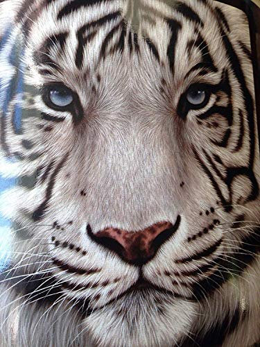 YISUMEI Decke 150x200 cm Kuscheldecken Sanft Flanell Weich Fleecedecke Bettüberwurf Weißes Gesicht Tiger