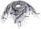 FOCUHUNTER Shemagh Military Tactical Desert Keffiyeh Schal - Kopf-Hals-Tuch Aus Baumwolle 43x43 Zoll - Bunter Arabischer Schal Mit Quaste für Männer & Frauen (Weiß)