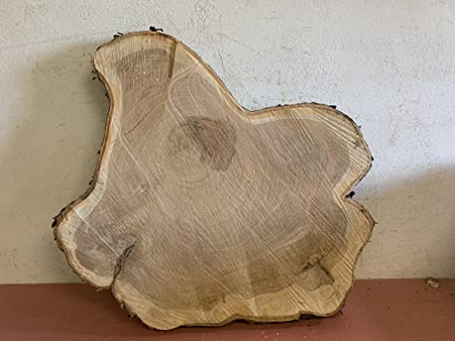 Baumscheibe, Holzscheibe, Baumscheibe, ca. 80x60x5 cm Kirsche