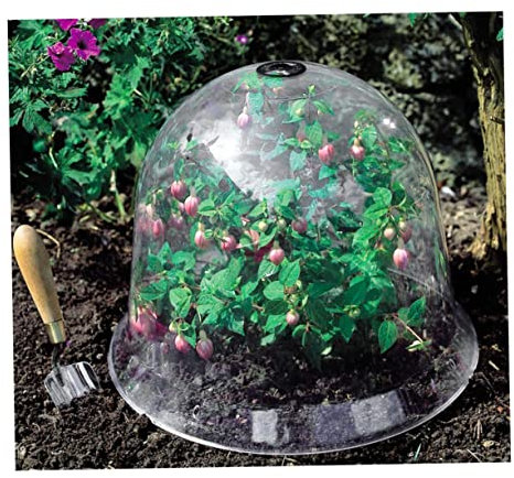 Kisangel 4 Stück Kleine Pflanze Vent Pflanzen Garten Cloche Terrarium Pflanzenschutz Hut Mini-dessertbehälter Wiederverwendbare Anlage Schild Pflanzen Gartenglocke Großes Becken Glas