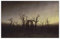 《Abtei im Eichenwald》 von Caspar David Friedrich Leinwand Gemälde Landschaft Kunst Poster Malerei Wanddekoration Heimdekoration 70x100cm(28x39in) Rahmenlos
