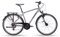 HEAD Unisex – Erwachsene Revelo 1.0 Trekkingbike, Matt Grey/Red, 50
