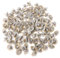 fatteryu - Lot de 100 clips de protection pour rebord de porte de Renault Trafic