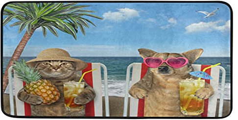 Kitchen Rug Laundry Room Mat Farmhouse Decor Floor Runner Rug Bedroom Doormat The Cat in Straw Hat and Dog Sunglasses 39x20in