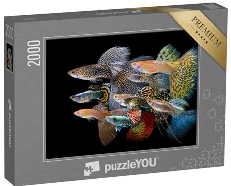 puzzleYOU: Puzzle 2000 Teile „Unterwasserwelt: Bunte Guppy Fische“ – aus der Puzzle-Kollektion Fische, Fische & Wassertiere