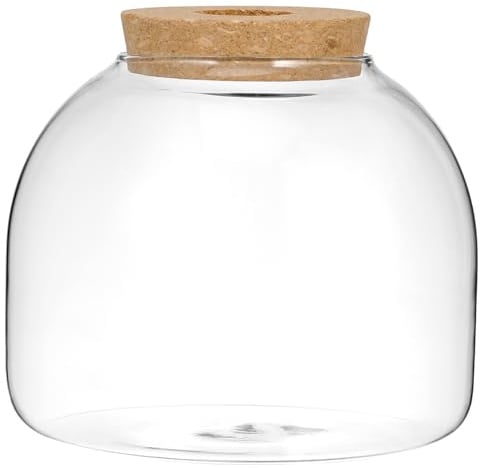 POPETPOP Eco Bottle Ornaments Glass Jar Terrarium for Tabletop Succulents Plants Cork Lid Plant Vase