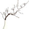 CAKEEYUM Ramas de Flor de Cerezo, 34, 3 Pulgadas, Flores de Cerezo realistas con Tallos de Ramas largas, Flor de Artificial, fácil de Usar, decoración de de para Fiestas en casa, d