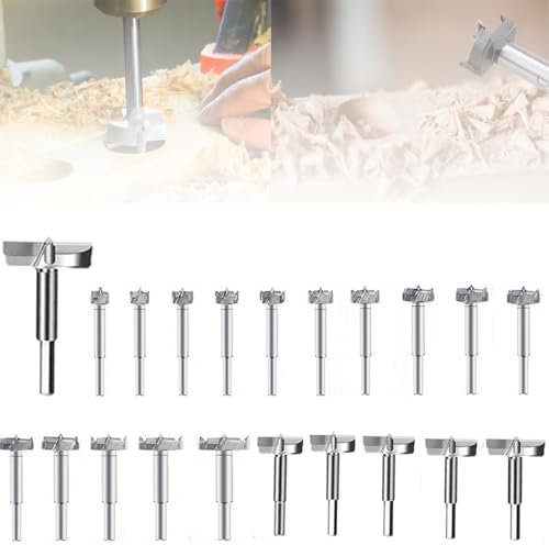 Forstnerbohrer,Holzlochfräse Holzbohrer,Eent Forstnerbohrer Set,21PCS mit Sechskantschaft für Holz und Hartholz Kunststoff(15,16,17,18,19,20,22,24,25,26,28,30,32,35,38,40,45,50,55,60,65mm)
